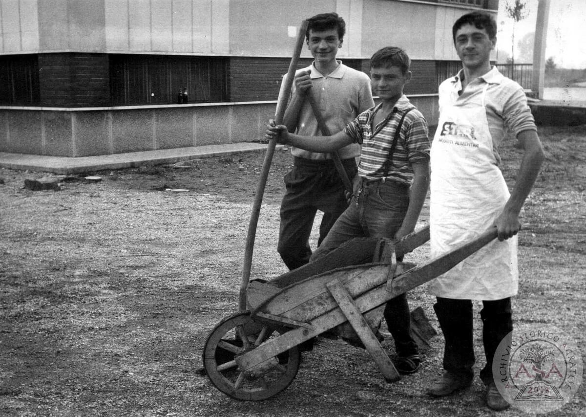 Ragazzi al lavoro