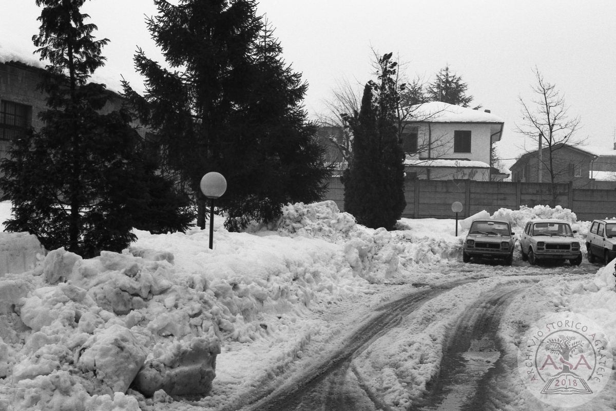 Nevicata dell'85