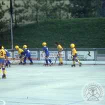 Partita di hockey