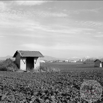 Cascina in Pescarola