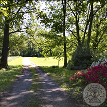 Villa Trivulzio - Esterni - Fiori nel parco