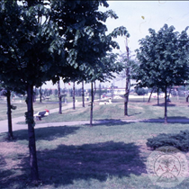 Inaugurazione del Parco Aldo Moro