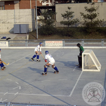 Partita di hockey