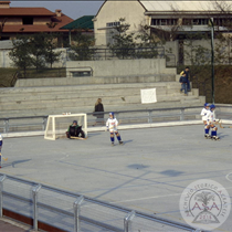 Partita di hockey